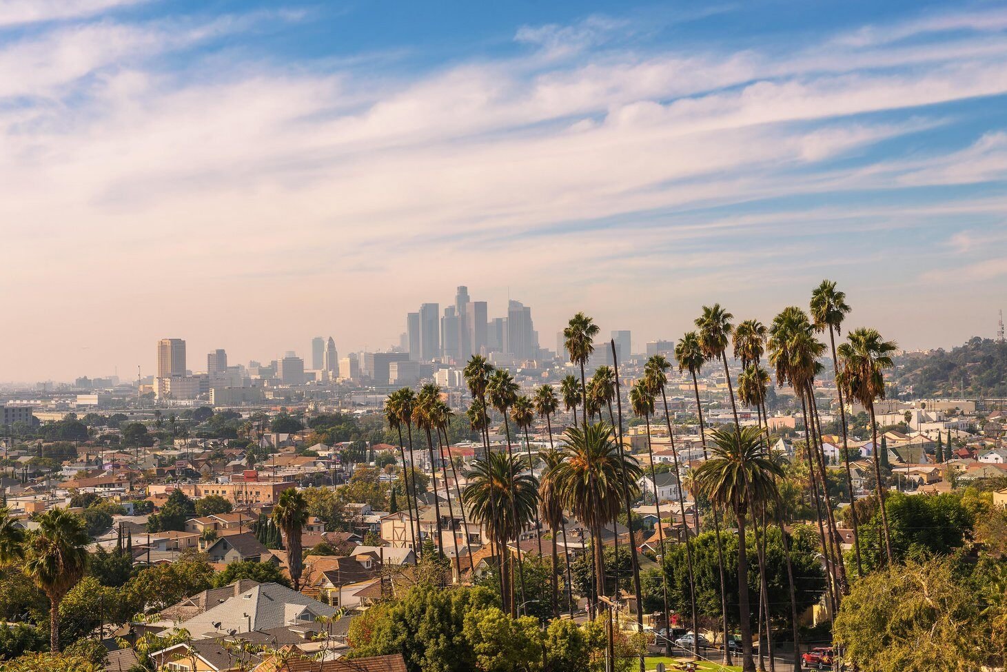 LA Coming soon LA Coming soon